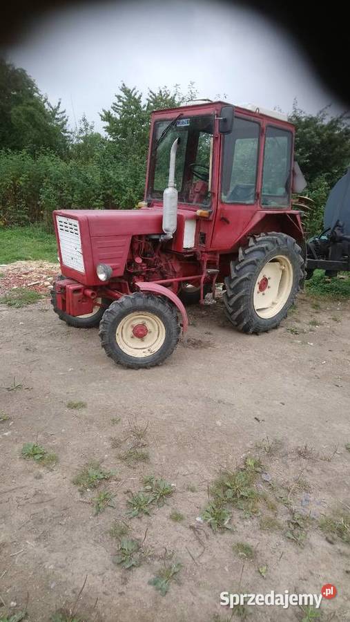 władimirec t25 Bolesławiec