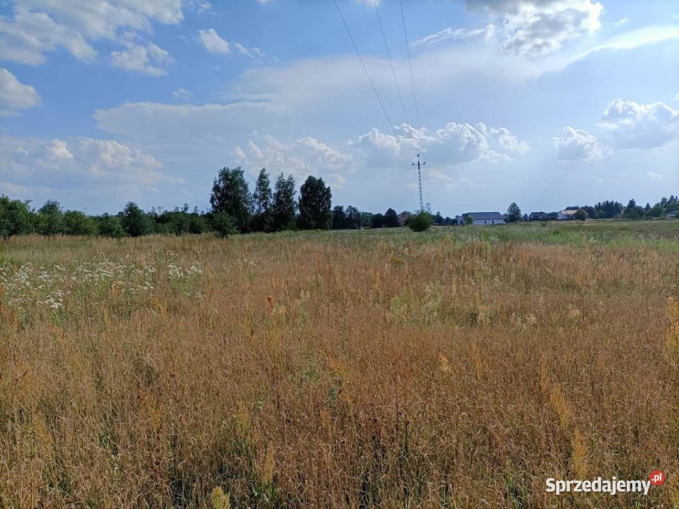 Dwie działki budowlane w Nowodworze gm Lubatów budowlana
