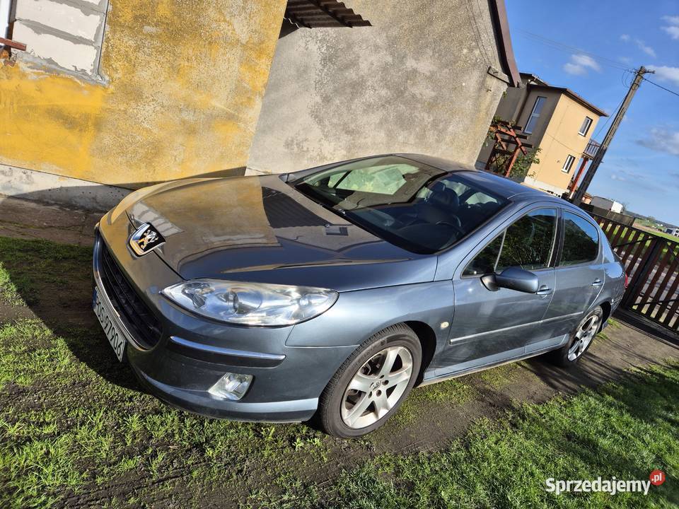Peugeot 407 20 Hdi 2005r Rok produkcji 2005 Biniew