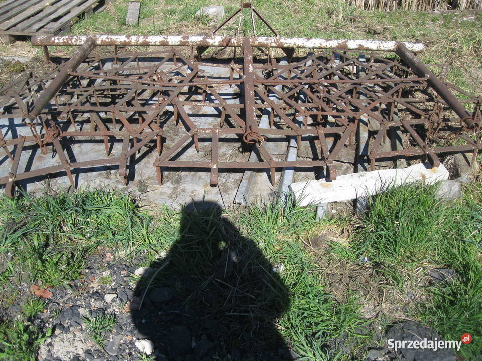 Brony Jastrzębie Zdrój śląskie Jastrzębie-Zdrój