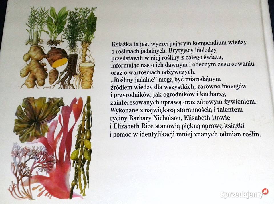 Rośliny jadalne John Vaughan