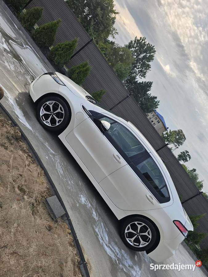 Opel Ampera Garwolin