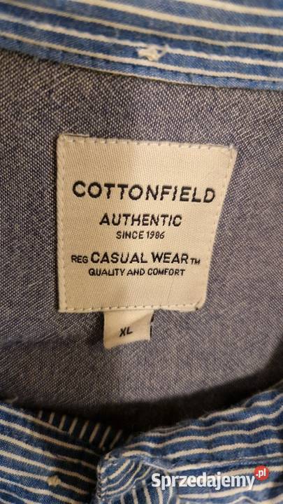 Męska KOSZULA Cottonfield XL niebieskie paski