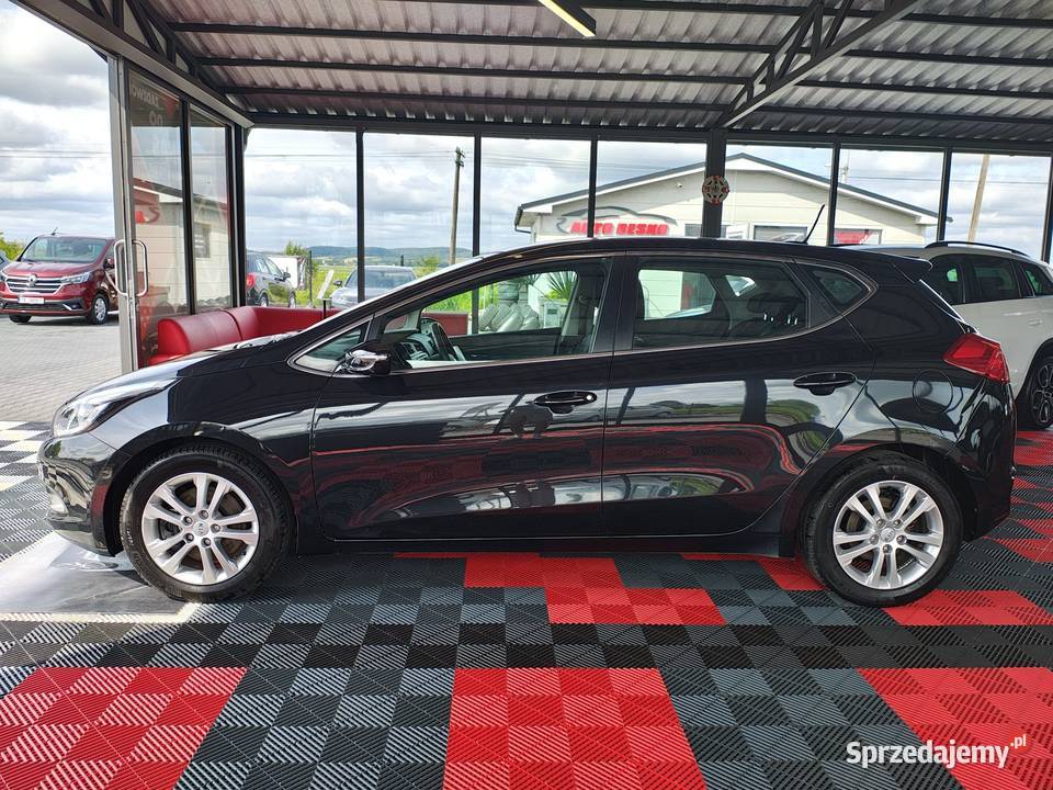 Kia Ceed 16Diesel Bogate Wyposażenie Stan możliwa zamiana sprzedam