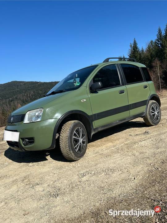 Fiat Panda 4x4 Rok produkcji 2010 Limanowa