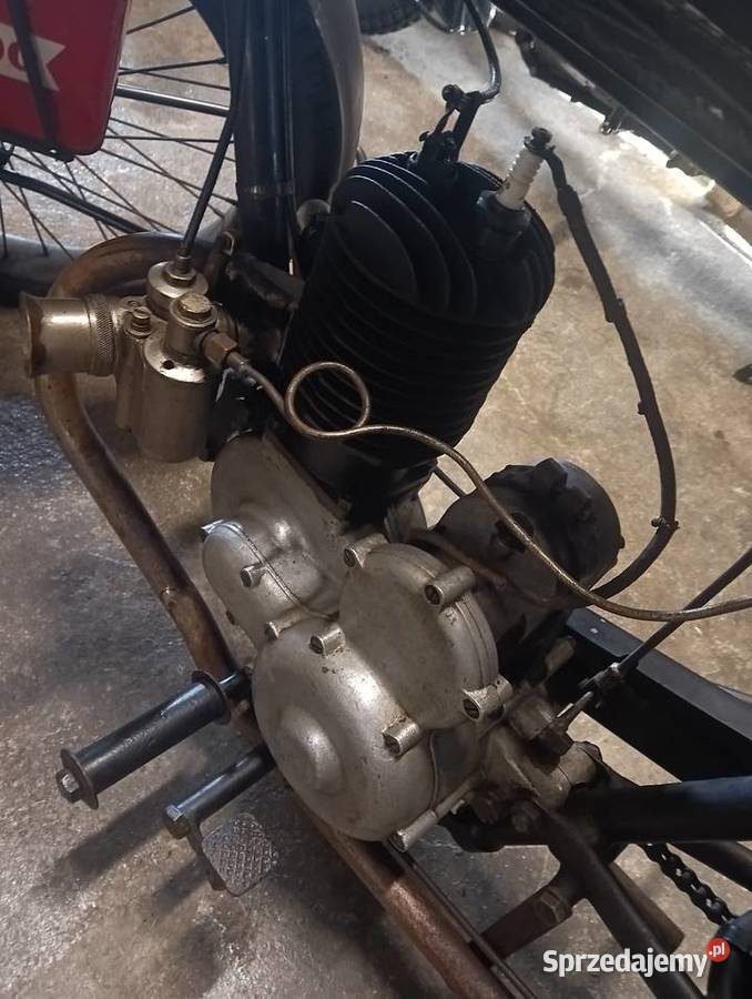 Labor sport kujawsko-pomorskie