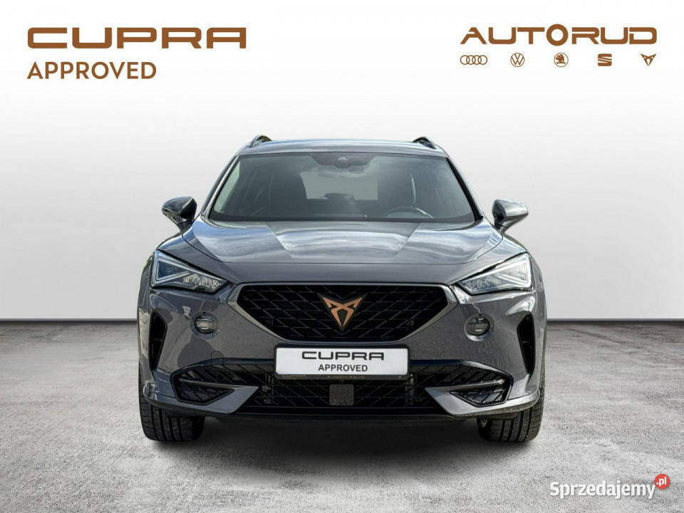 Cupra Formentor 15TSI 150 DSG 2024 Bezwypadkowy