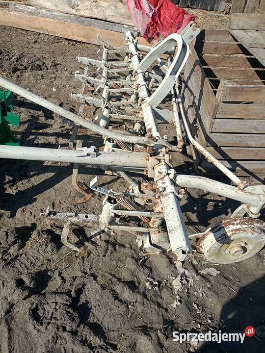 pielnik opielacz wielorak Izbica Kujawska