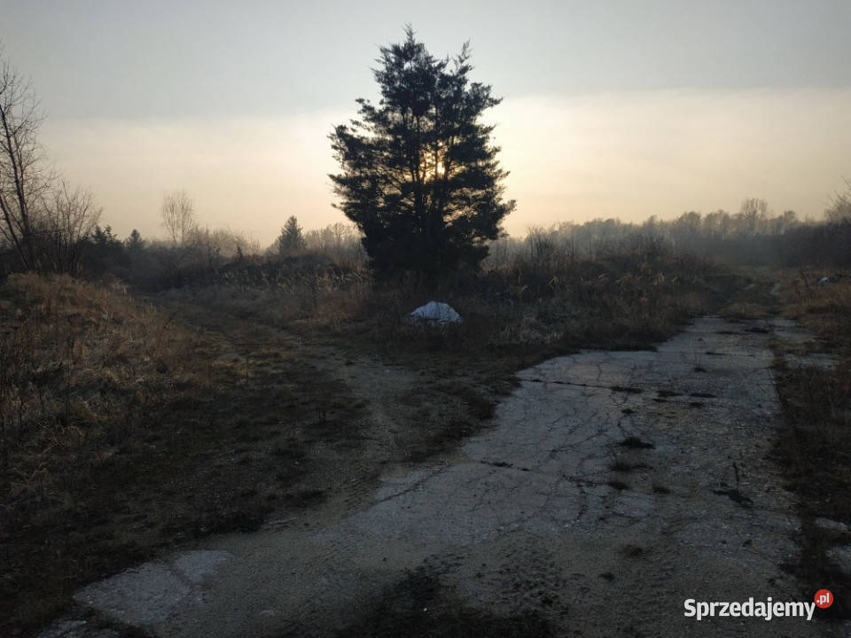 Nieruchomość na sprzedaż 23417m2 Sprzedaż Kamiennik