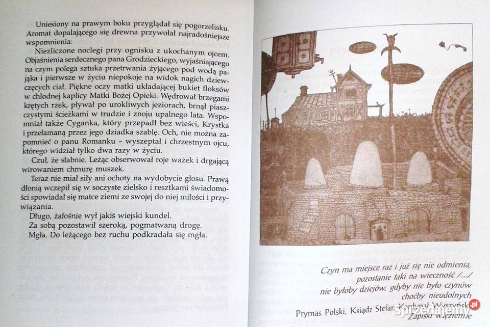 Sekretne życie topików Jerzy B Sprawka miękka Pozostałe Chełm