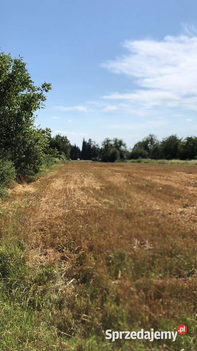 Działki budowlane Zamość Lwowska sprzedam