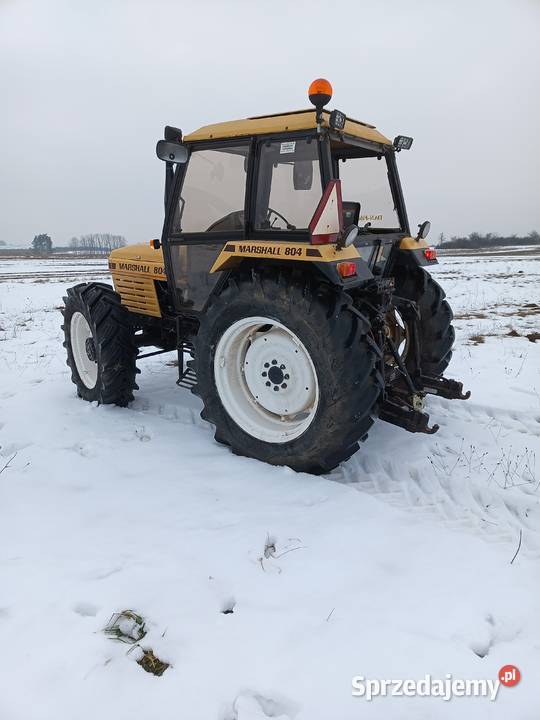 Ciągnik Leyland Marshall 804 4x4 82 świętokrzyskie Pierzchnica sprzedam