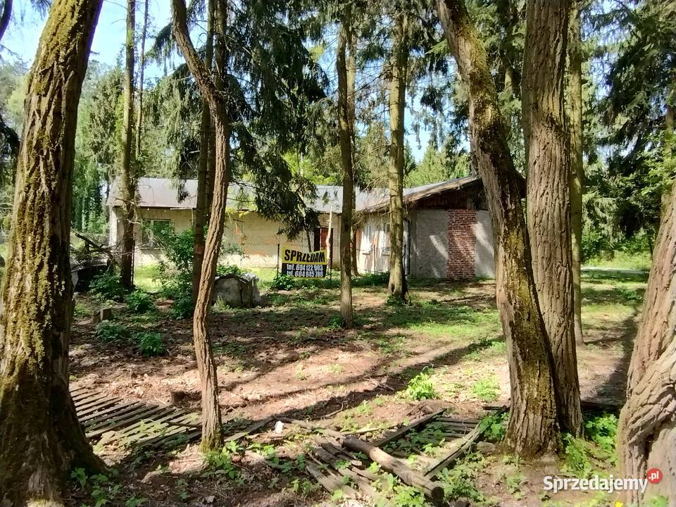 Żółwin działka budowlana 2500m2 z domem w gruntu sprzedam