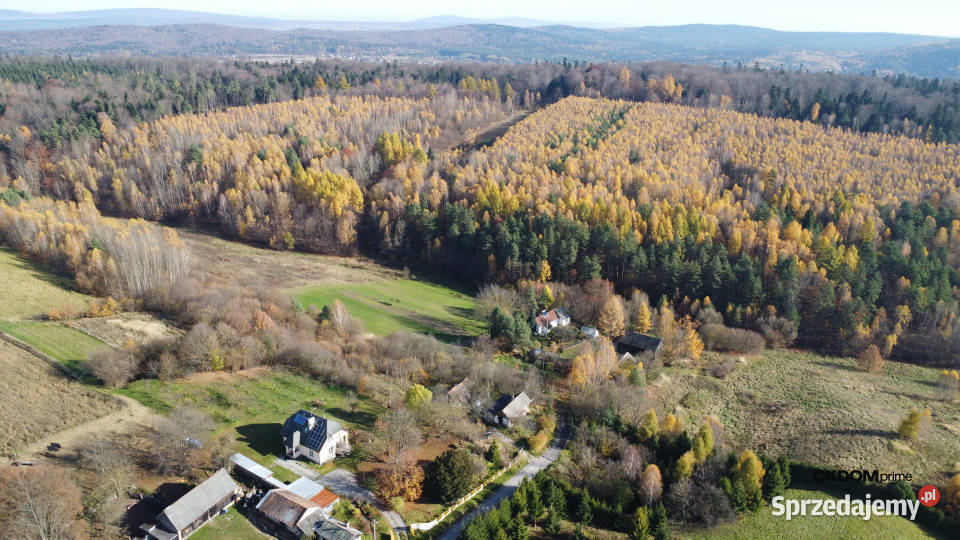 Działka na sprzedaż Cisów 23800m2