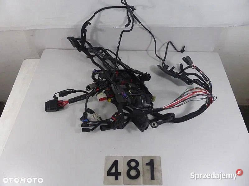 Wiązka elektryczna Harley Davidson Sportster Poznań sprzedam