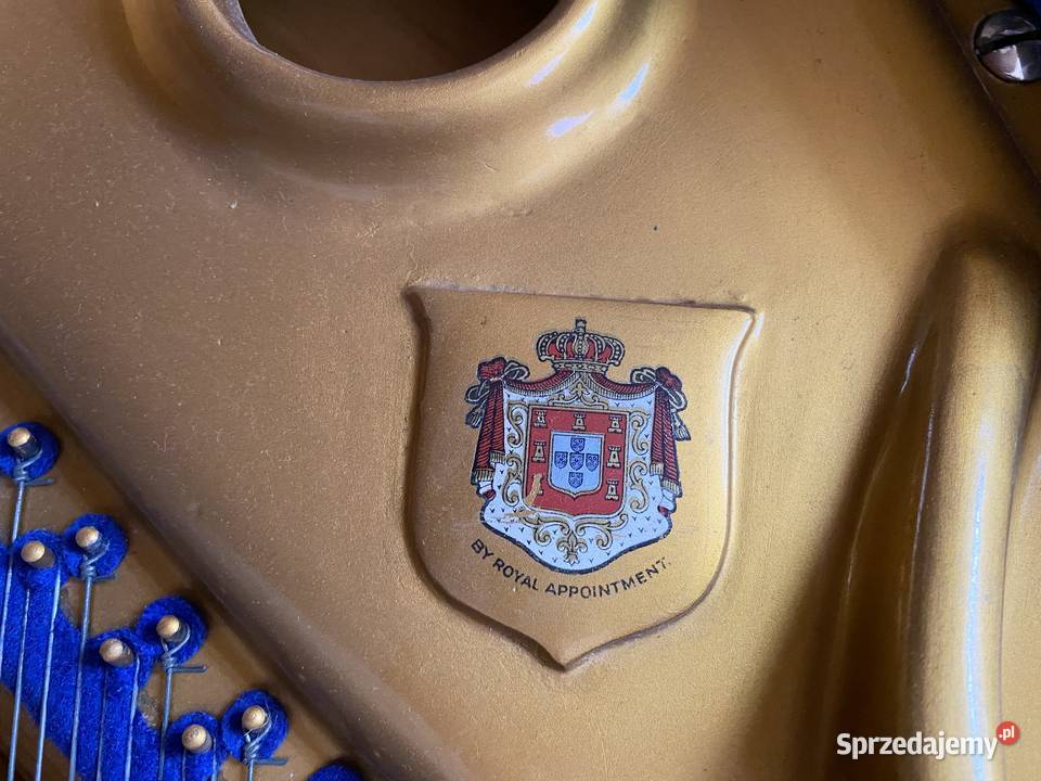 Fortepian mazowieckie Nowy Dwór Mazowiecki