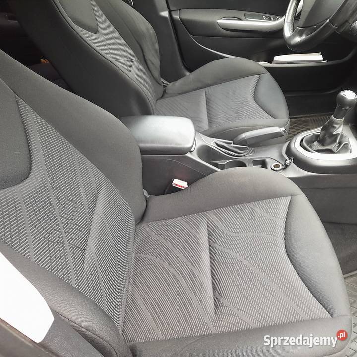 sprzedam zamieniem na droższy Borówno