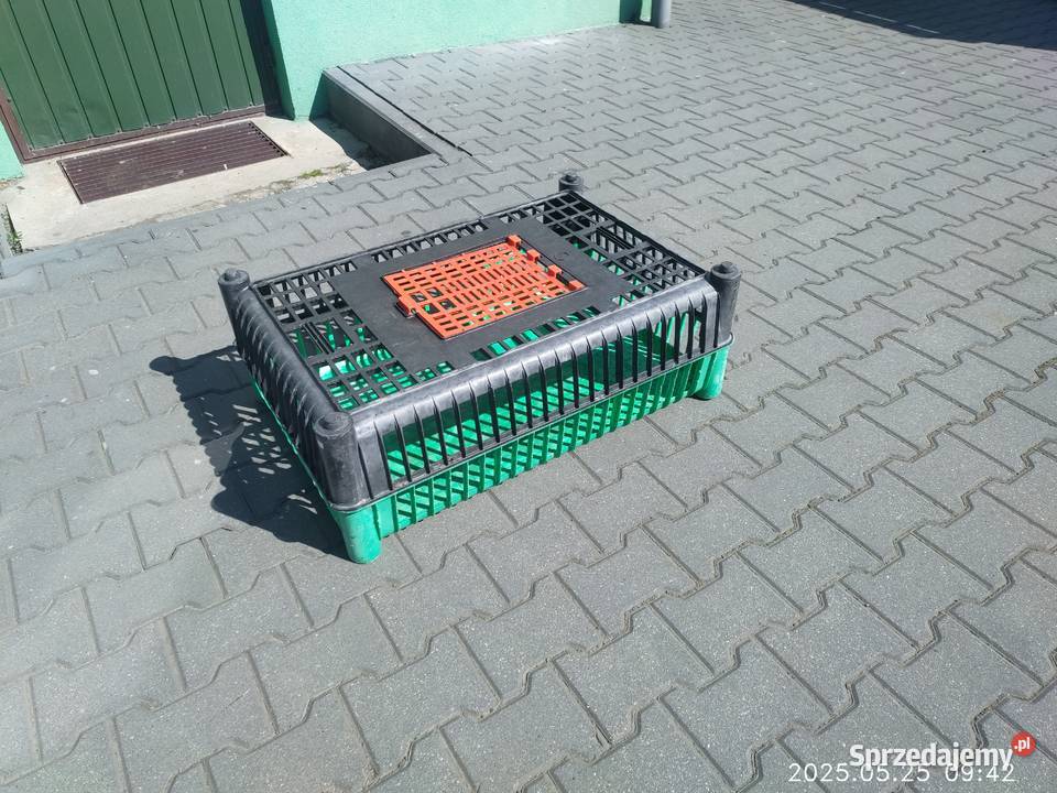Klatka skrzynka do transportu drobiu