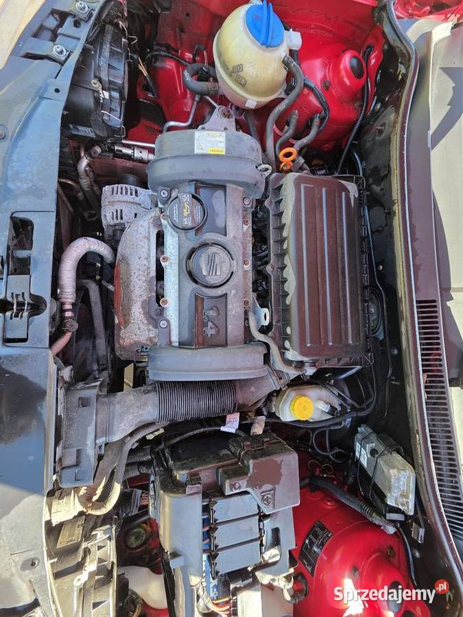 Seat Ibiza 2008 4999 Motoryzacja Chełmsko Śląskie sprzedam