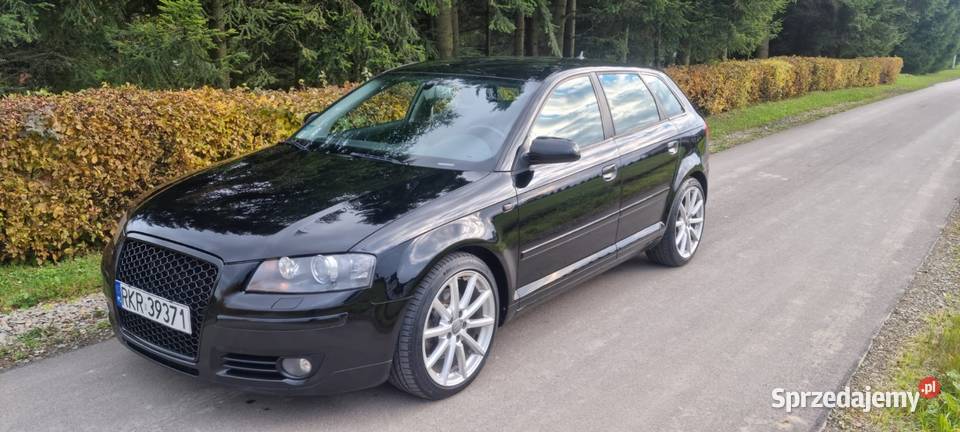 2007 Audi A3 20TDI 170 4x4 Quattro Bixenon radio Krosno