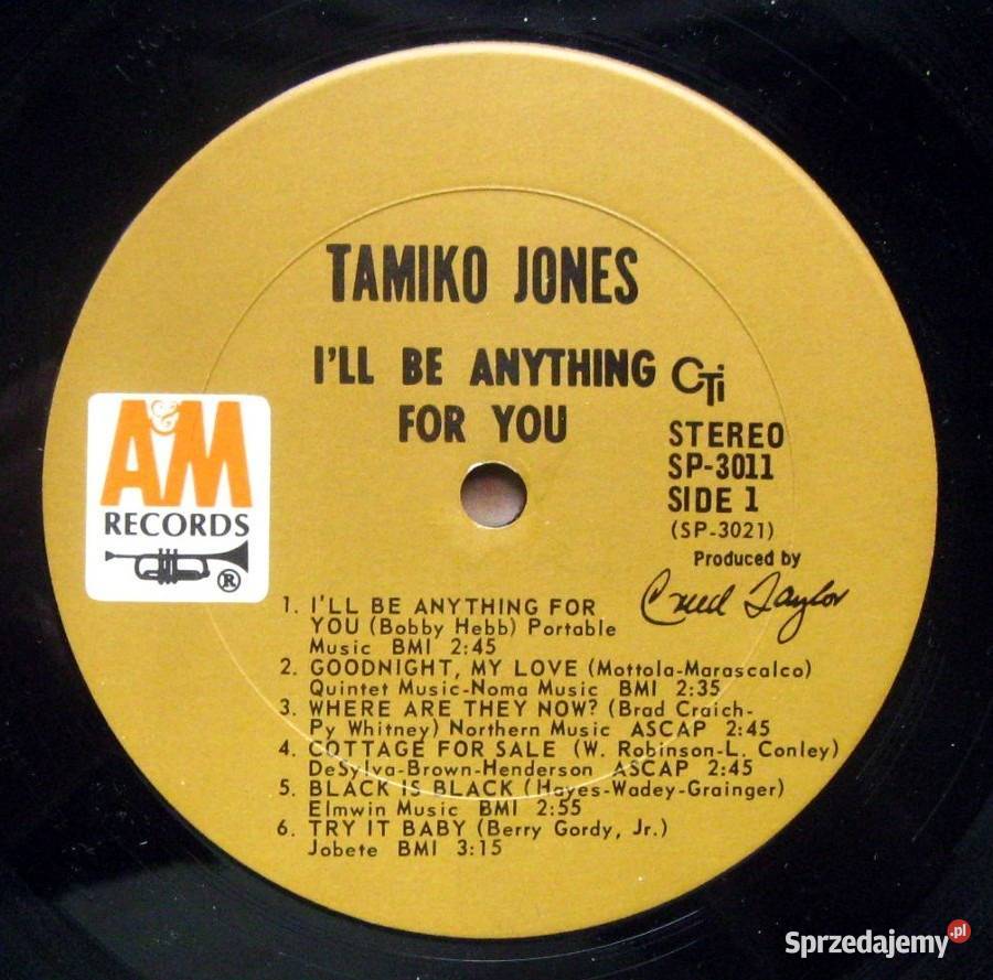 TAMIKO JONES Ill Be Anything For You LP USA Szczecin