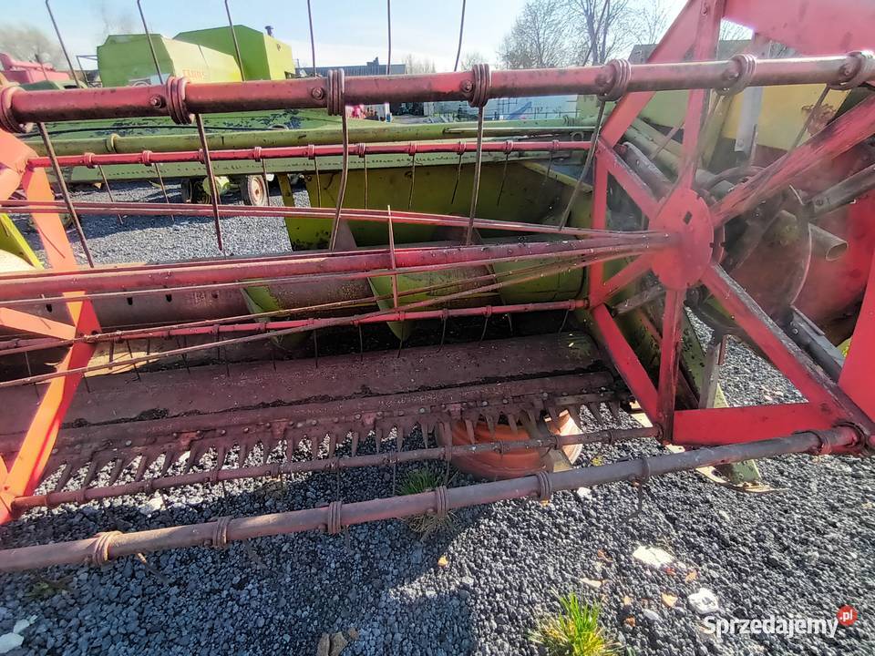 Heder Claas Mercator Senator Protector Dominator Ostrowiec Świętokrzyski