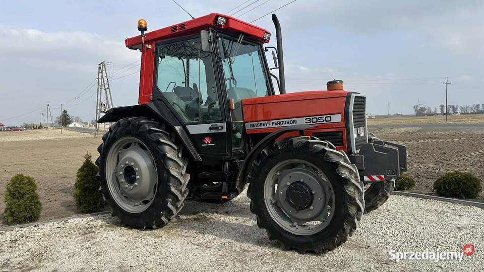 Massey Ferguson 3050 Massey Ferguson kujawsko-pomorskie Włocławek
