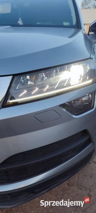 Skoda Karoq 2018 Salon 1 własciciel niski kujawsko-pomorskie Solec Kujawski sprzedam