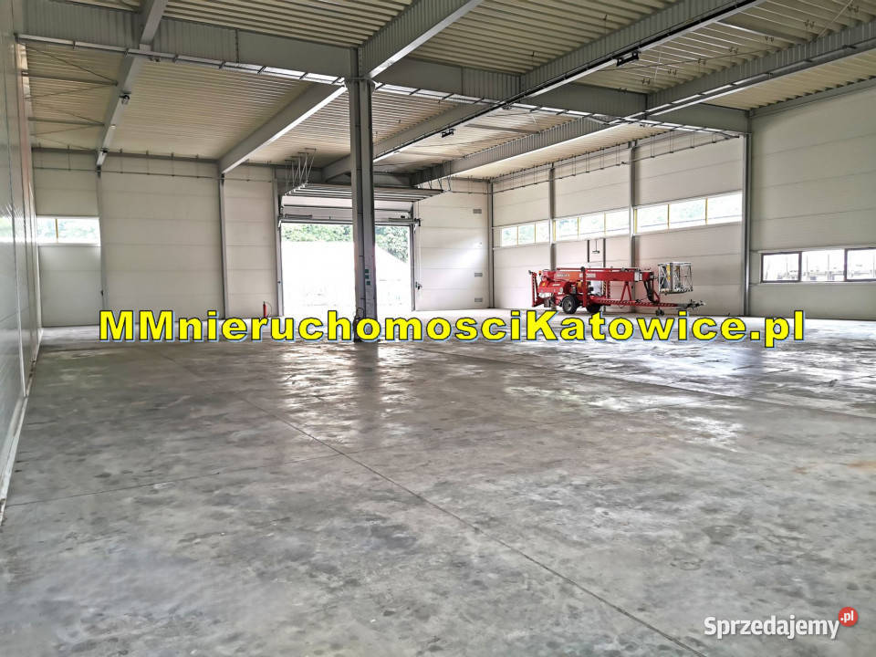 wynajmu lokalu 743m2 Katowice 743m2 sprzedam