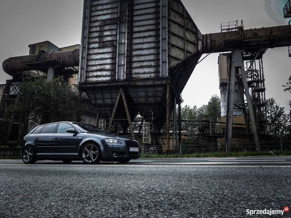 Audi A3 8P Sportback 2005 Oryginalny Lakier Sławków