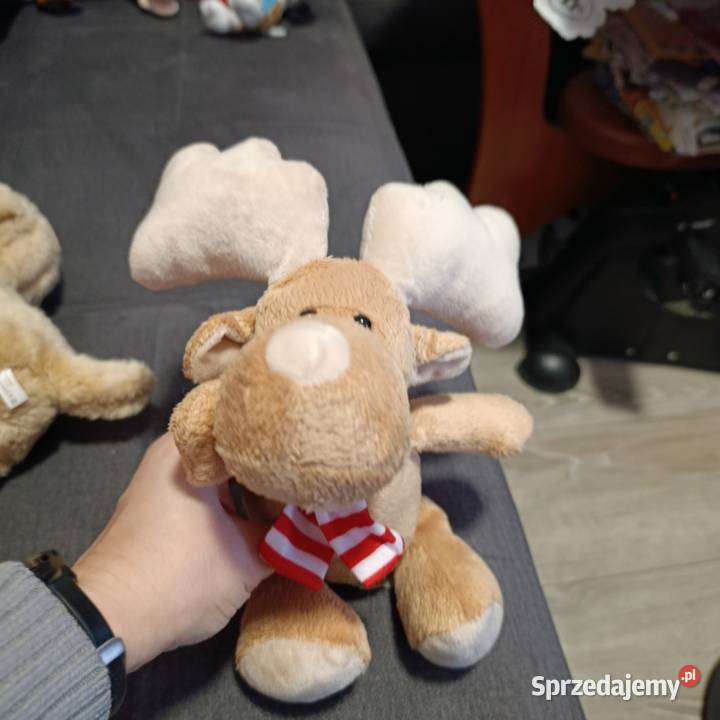 renifer Kinder kolejny Poznań sprzedam