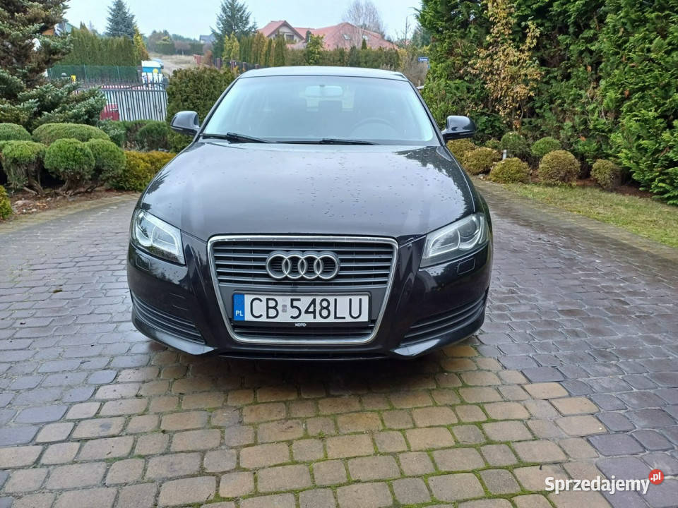 Audi A3 Sportback zadbany stan 8P 20032012 ogranicznik prędkości Łochowo