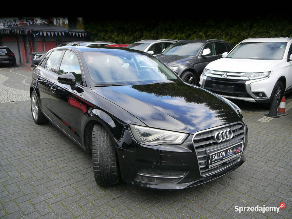 Audi A3 20d Navi Xenon Ledy bezwypadkowy Stan nieuszkodzony A3 śląskie Częstochowa