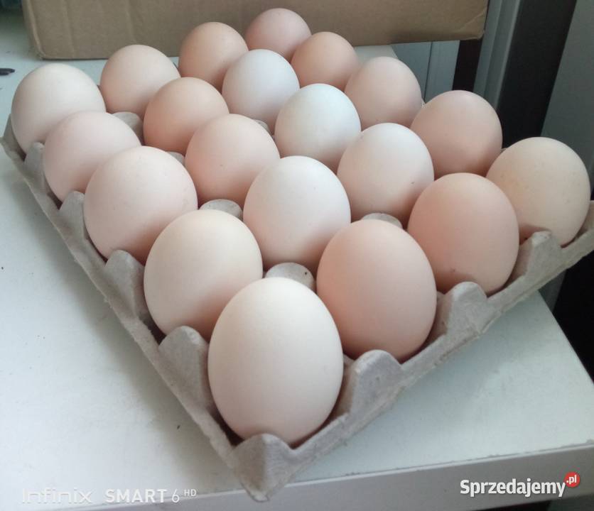 Jajka wiejskie Kostrzyn