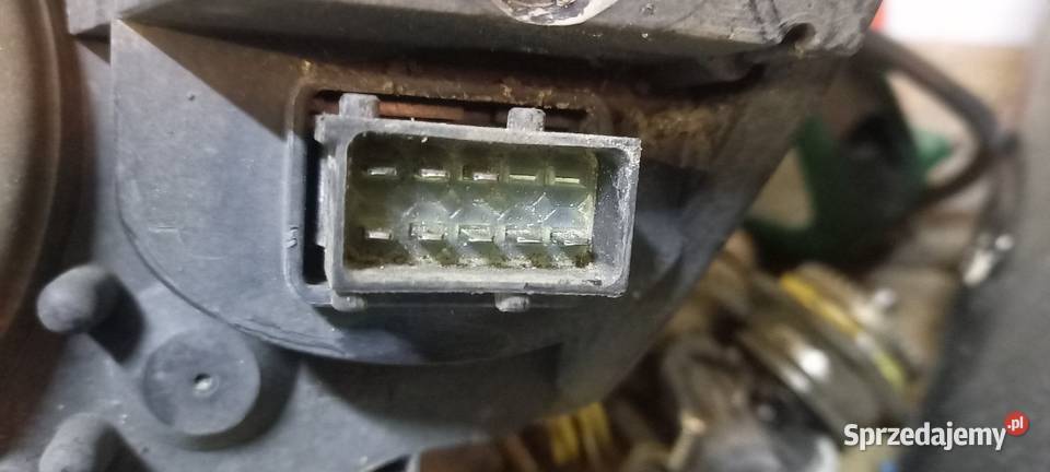 lampy zefira SPORT b 2009 Xenon Lampy przednie kujawsko-pomorskie
