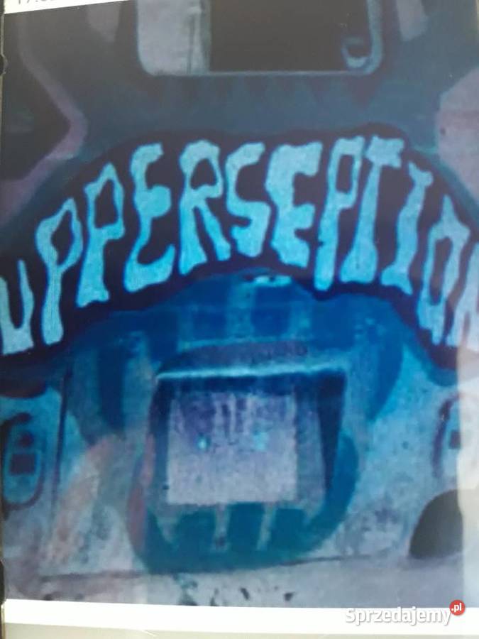 Z wykopalisk Prog Rocka UPPERSEPTION Cornicula Rzeszów