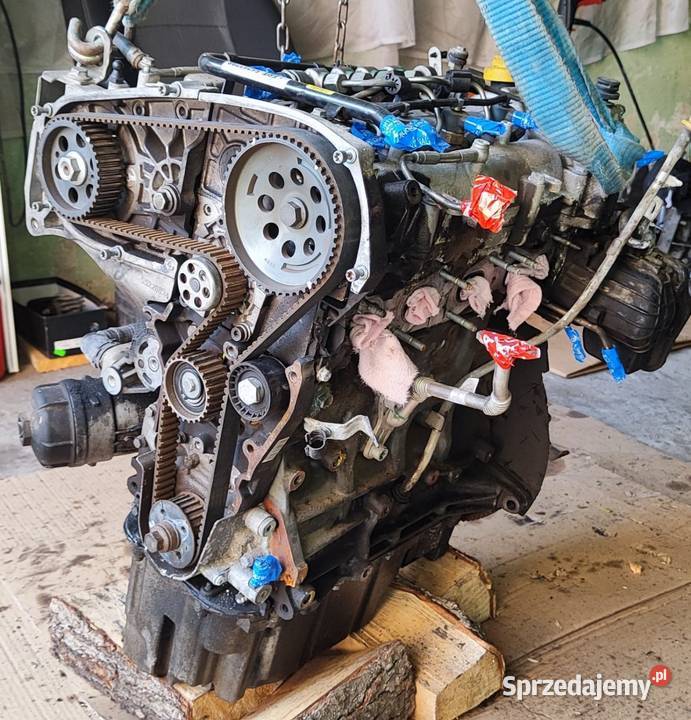 Silnik D16AA 16ddis Suzuki Fiat 16 multijet podkarpackie Kolbuszowa