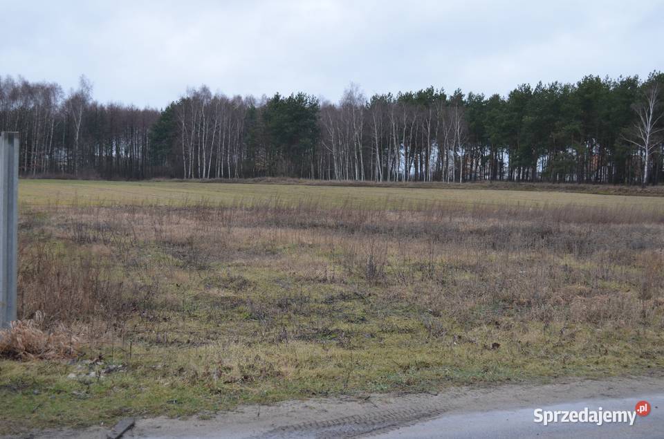 Działka w Mariampolu na sprzedaż