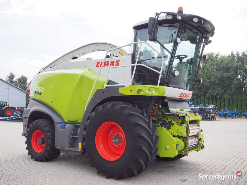 Claas Jaguar 850 4WD Sieczkarnia polowa AUTO Stęszew