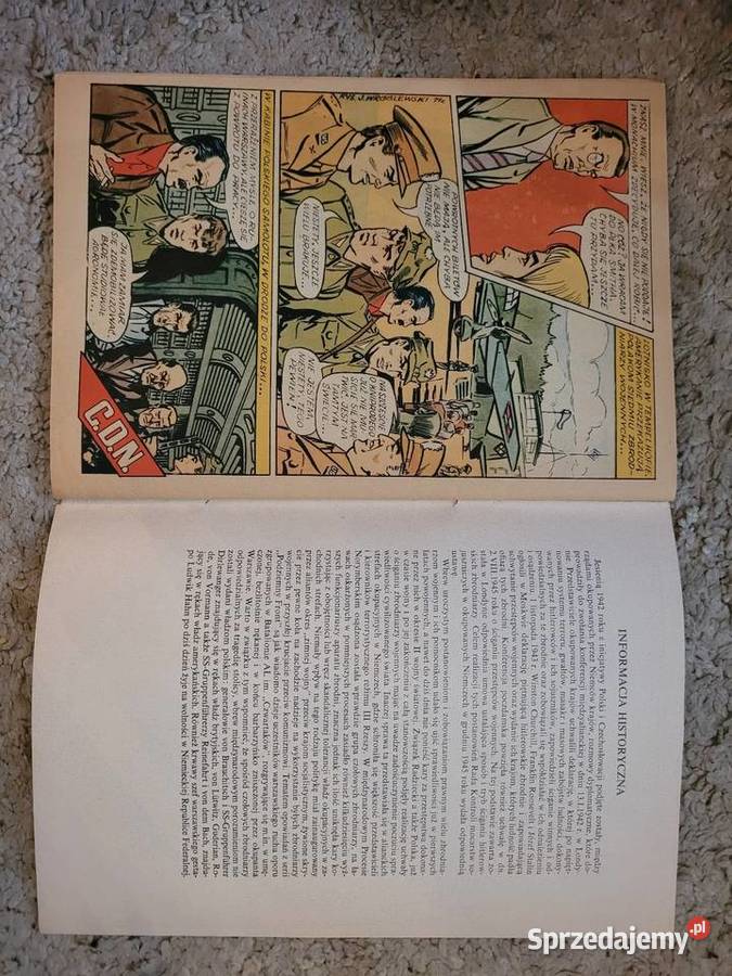 Podziemny Front Wilk w Matni wydanie 1 1973 Gdynia
