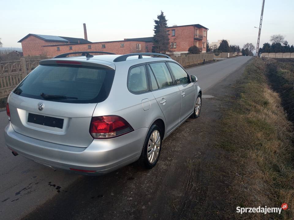 Volkswagen Golf VI 16 TDI 2010 Golf Kalisz sprzedam