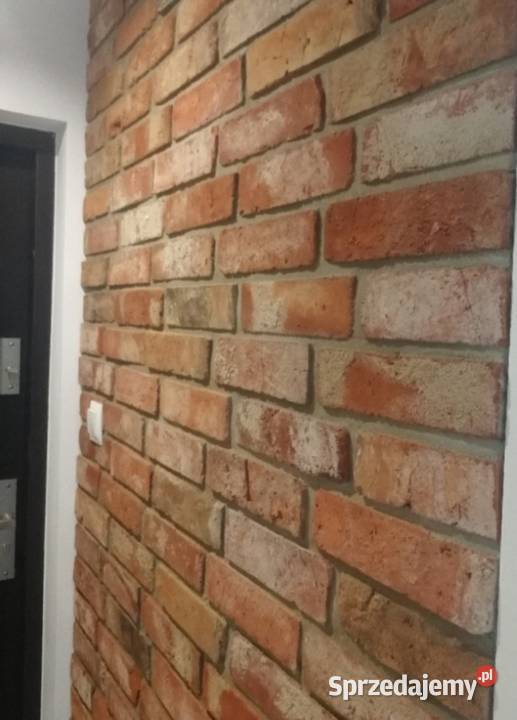Płytki z lica cegłystara cegła Koszalin sprzedam