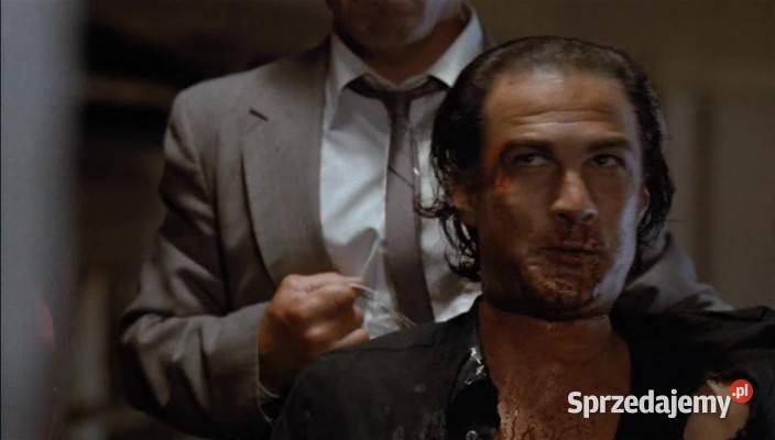 NICO PONAD PRAWEM STEVEN SEAGAL Kalisz