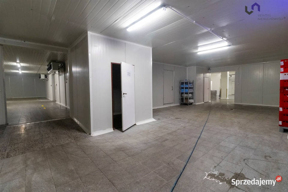 Lokal Ruda Śląska 1308m2 sprzedam