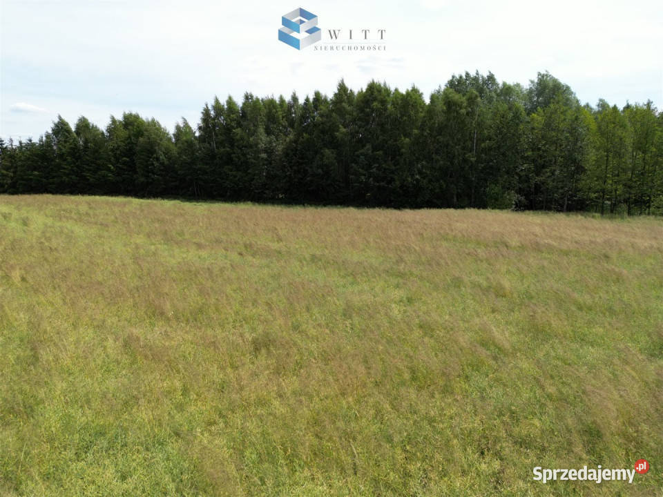 Grunt sprzedam 1337m2 Franciszkowo drewniane