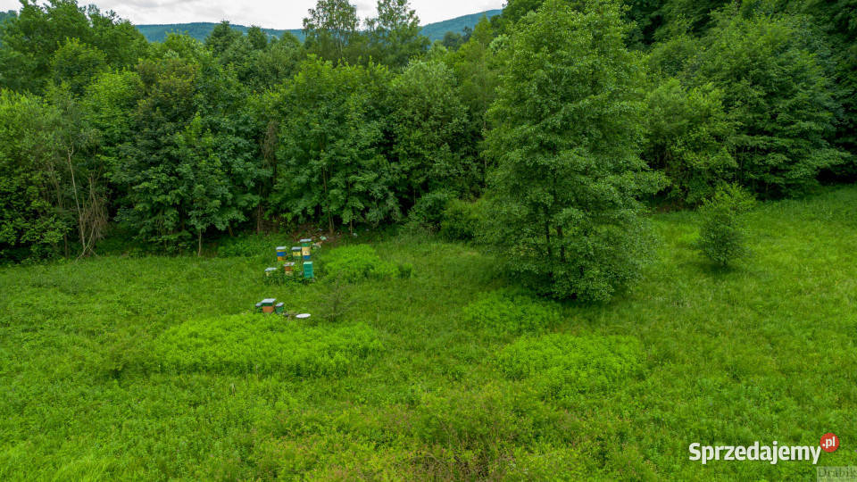 Ogłoszenie grunt Sucha Beskidzka Zamkowa 1422m2