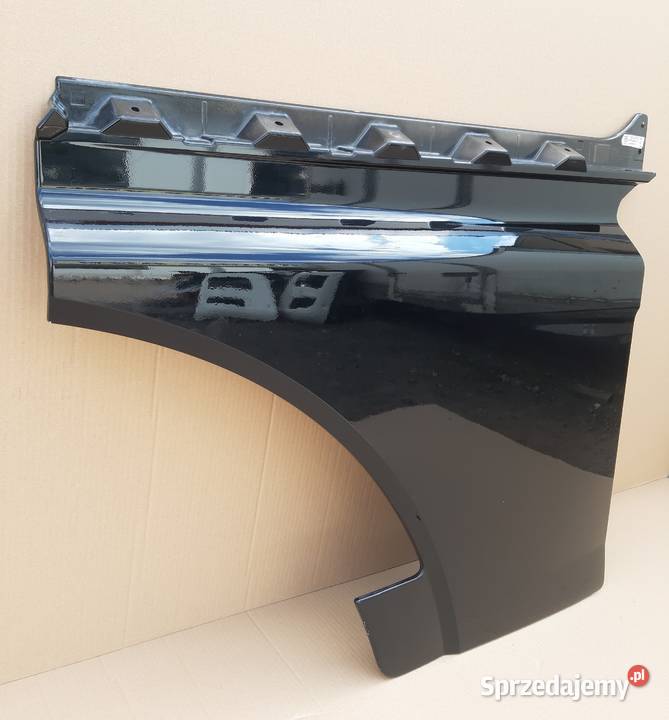 MAN TGX TGX3 TG3 PRZEDŁUŻENIE DRZWI PRAWE Pozostałe Bieleń