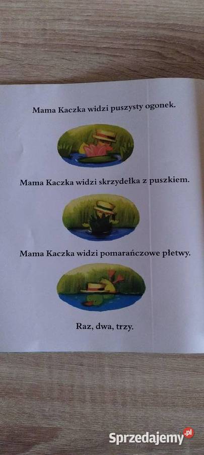 Gapuś i przyjaciele Rok wydania 2005 lubelskie Lublin