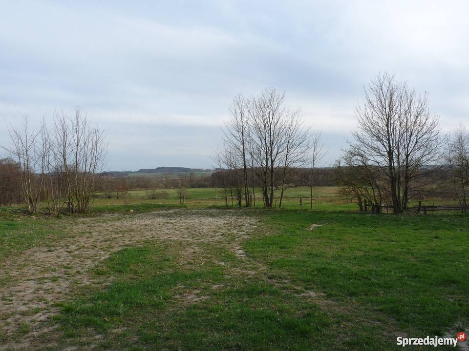 anio Gospodarstwo rolne Paprotki gm Malechowo 140000m2