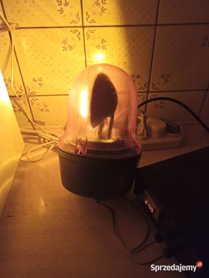 Kogut lampa Elektra LBS5 24V Stan Gorzów Wielkopolski sprzedam